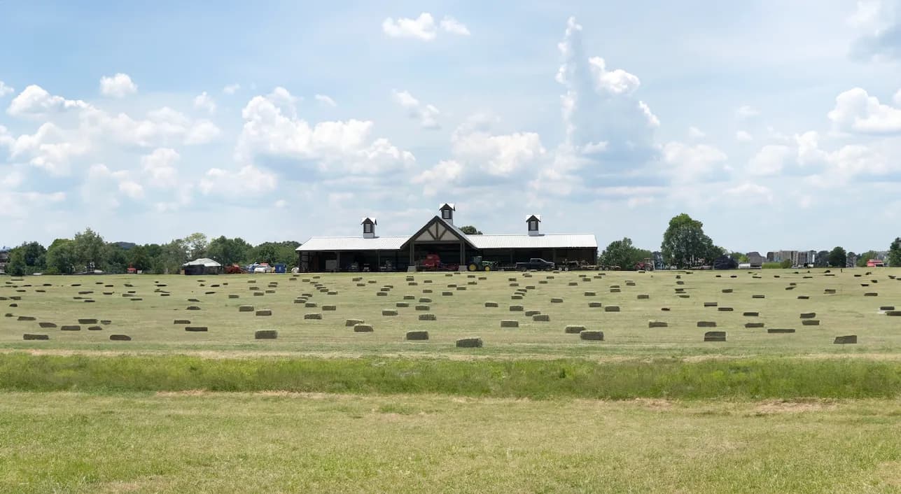 Red building with canopy over picnic tables